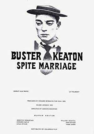Buster Keaton, the Genius Destroyed by Hollywood (TV Movie 2016) - IMDb