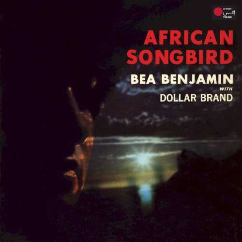 african_songbird