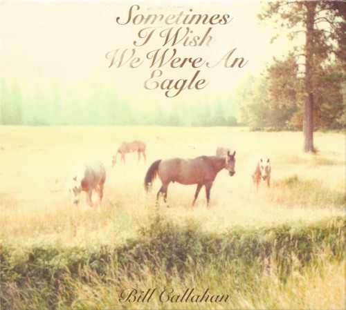 Allmusic album Review : When Bill Callahan left behind his long held Smog moniker, he gave longtime fans of his lo-fi, mopey, sometimes angry aesthetic some real cause for worry: there was not only the name change, but the reliance on more technology that began with the Diamond Dancer EP and the outright lush production (compared to his past work) on Woke on a Whaleheart. Sometimes I Wish We Were an Eagle should give them some cause for relief, though the growth on the previous two offerings cannot be erased. There is no grand statement on Eagle; its merely the record that comes after Woke on a Whaleheart, but it feels more like a Smog record though it doesnt sound like one. This is the darkest, moodiest set hes issued since Supper in 2003, but its also easily his most accessible musically and sonically. We dont hear much more than Callahans idiosyncratic misanthropy offering itself speaking and breathing room on most of these tunes; his baritone is right up front and rarely gets stretched. His themes seem to center on flight and return, and are no better illustrated than on the opening cut, "Jim Cain," where, along a gently shuffling snare and kick drum, his nylon-string acoustic and electric guitars, and a cheap but effective keyboard, his ruminations are guided. They caress that voice out of its hiding place: "...Well I used to be darker/Then I got lighter, then I got dark again/Somethin to be seen, was passing over/And over me/Well it seemed like a routine case at first/With the death of the shadow, came the lightness of births/In the darkest of nights, the truth still dazzled/And I work myself, until Im frazzled/I ended up in search of ordinary things..." Its a cause célèbre for the album.<br><br> So much here is written, scored for, and sung from, the place Callahan knows all too well, the outsider with the richest of interior lives with numerous motivations. Tracks like "My Friend" express, gently at first then more aggressively, sentiments that may be wholesome in their intent, but in their expression become more aggressive and even slightly sinister.<br><br> While Callahans songs are characteristically simple: the way they are recorded is relatively more complex. Things are not so shambolic; they are carefully measured, tempered, and sequenced. Songs such as "All Thoughts Are Prey to Some Beast," are based on two-chord vamps, and Callahans voice does nothing to disguise itself as his lines are short, clipped, and shorn of unnecessary verbiage. But the sense of dynamic tension that gathers as violins, lithe, airy electric guitars playing single string leads, syncopated tom-toms, and synth lines that mimic French horns, offer a wider dimensions. Ultimately, this sense of circular motion, whether its flight and return, the human breath, birth, death, rebirth, loss, and love is the elemental construction of everyday life, and hence a lyrical cornerstone on Sometimes I Wish We Were an Eagle. It is perhaps a seminal new more accessible chapter in Callahans oeuvre of heretofore lo-fi, strictly outsider music.