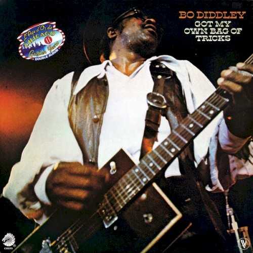 Allmusic album Review : For a lot of years, this double-album compilation -- sort of the Bo Diddley equivalent to Chuck Berrys The Great 28 or the first two Chuck Berry Golden Decade sets -- was the best collection of Diddleys stuff on the market, containing all of his best known songs and some of the best of his album tracks up through the mid-60s. After it was deleted in America, it was available as an import from Canada and then Europe for a long time. On vinyl it is one place to start, although the double-CD Chess Box has supplanted it in many respects.