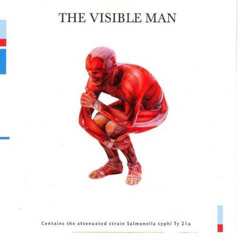 Allmusic album Review : It was no secret that David Byrne nourished a newfound interest in dance music on his 1997 Feelings tour. Going so far as to employ a DJ onstage instead of a traditional rhythm section could easily have looked like a desperate attempt to stay relevant. The resulting sound and attitude, however, actually worked for the middle-aged frontman, who had seemed bereft of musical inspiration in the few years preceding. Brand new electro updates of older material sounded fresh and even fitting onstage, especially a sinister new version of "Psycho Killer" which Byrne would deliver onstage wearing his Visible Man outfit: a lycra body suit depicting the human muscular system in gory detail. So when David Byrne recruited a handful of techno-influenced producers to whip up some fresh, innovative, beat-heavy takes on his material, many of his fans expected something that would resemble his live set. "Psycho Killer" redux is not present on Visible Man, nor the new "I Zimbra," nor any other gem from his 1997 set list. Instead, six tracks from Feelings have been selected and are given stock-issue techno backbones. Theres a lot of repetition from track to track, and too little of the energy Byrnes live shows boasted. A few bright spots manage to shine through this otherwise standard remix album. Underground luminaries Thievery Corp. spin a tranced-up "Dance on Vaseline," which develops a nice dark groove throughout the track. DJ Food delivers the only genuinely interesting spin on the source work in his retooling of "Fuzzy Freaky." The shattered beats and tortured, nearly demolished vocal track convey Byrnes nervous energy from years past nearly better than Byrne had ever done himself.