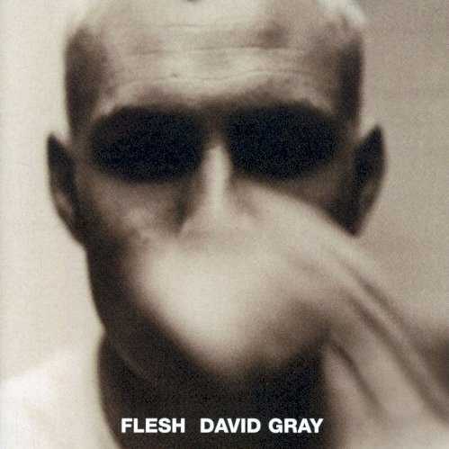 Allmusic album Review : On Flesh, David Grays 1994 release, the Welsh singer/songwriter wraps his rough-hewn voice around ten self-penned songs that deal mainly with relationships. Delivered in his earnest voice, the highly literate observations of the lyrics and the folk-tinged feel of the music is easily compared to the work of Mike Scott of Waterboys fame. "What Are You?" kicks things off with an aggressive, bracing vocal growl from Gray over a tumbling rhythm. "Made Up My Mind" features a determined lyric of resilience and moving on. There isnt a weak cut on this record, but the highlights are the sparser, more reflective numbers that highlight the gentleness of Grays guitar playing and the flawless phrasing of his vocal delivery. "Falling Free" and "Mystery of Love" are two of the best examples with the romantic longing of their lyrics. Neill MacColl adds some wistful slide guitar to the latter. A must listen for any fan of Scott or just anyone who appreciates well-done, acoustic-based rock.