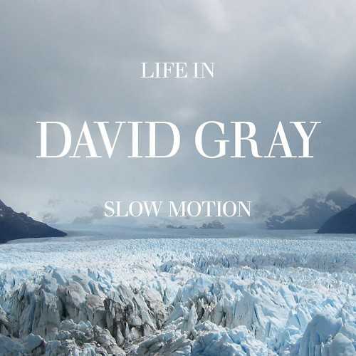 Allmusic album Review : Life in Slow Motion is an appropriate name for David Grays sixth album, since this languid, deliberate album crawls out of the speakers at a speed that suggests everything is stuck in molasses. Not that this is a bad place for Gray to be, or that it is even a big change of pace for him. As the years passed, hes trimmed away the faster tempos from his music, leaving behind an even-keeled, meditative, soft reflective folk-pop that brought him a hit in 2000 with "Babylon" from his fourth album, White Ladder. Life in Slow Motion isnt too far removed from that album, although it does lack the then-fashionable vague electronica underpinnings of that album. In its place is a mildly lush but not elaborate production thats tasteful and classy, even if it never quite grabs the listeners attention. Thats true of Grays songwriting here in general -- its well mannered and well intentioned, but falls short of being distinctive. If Gray didnt have a slight rasp to his voice, this music would simply wash over you, since its a calm, clean album ideal for either background music at work or late-night introspection. Thankfully, he does have a bit of grit in his voice -- enough to ground the music, if not enough to make it compelling. To a certain extent, thats been true of all of his albums, but Life in Slow Motion is especially low-key and quiet, requiring close listening to catch the subtleties in either the lyrics or the music. That means its a rewarding listen for the faithful who have the time, patience, and inclination to dig into this, but for those whose dedication isnt so strong, this is sweet, gentle, and ultimately forgettable.