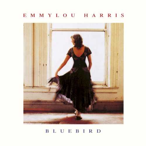 Allmusic album Review : Like most of Emmylou Harris albums, Bluebird is an expertly performed album, featuring some truly startling and affecting tour de forces. However, the material -- while featuring a handful of truly great songs, like John Hiatts "Icy Blue Heart" and her original "A River for Him" -- is too uneven to rank among her finest efforts.