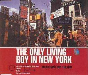 the_only_living_boy_in_new_york