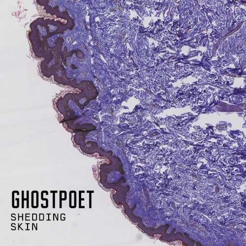 Allmusic album Review : Seems like critics posted U.K. rapper Ghostpoet as left-field hip-hops big hope just two verses into his debut, but the gifted man might really be the genres Mark E. Smith, even if MC Obaro Ejimiwe doesnt share any of the indie rock frontmans same "quirks." Like Smiths group the Fall, Ghostpoet is outsider music that sounds familiar and yet unique, so unique that to be outwardly influenced by the mans rapid, literate mumble or his hazy, poetic delivery would be to mimic him. BBC DJ John Peel famously called the Falls music "always different...always the same," and with this third album, it also applies to Ghostpoet. The instrumentation is different, as guitars and a traditional band support the lyrics where laptops and samplers used to be, and Ghostpoet himself has changed a bit, responding to the band with a more natural or organic flow while letting a little more mirth out, perhaps because bassists and drummers are more fun to hang around with than hard drives. Still, "Sorry My Love, Its You Not Me" may open like an early U2 number with echoing guitars and tats on the snare, but its as if a beat were lifted from Boy or October once the vocals sneak in, boozily yearning "to feel magic and stars" before "its just that youre forgettable, babe," because thats how Obaro breaks up. Featuring Maximo Parks Paul Smith, "Be Right Back, Moving House" sets out on a Mumford & Sons sized-journey, then gets wonderfully caught up in its rhythmically tangled second half, and if the artist does sound just like someone else -- rapper Tricky -- on "That Ring Down the Drain Kind of Feeling," the key cut breaks away into Ghostpoet land once the lyrics lay out a layered story of love and guilt. Add the devastating title cut plus more memorable melodies than usual, and Shedding Skin might be the Ghostpoet album to begin with for those who prefer something a bit traditional, but with three excellent efforts from the get-go, the point isnt where to start, but to start, because the rewards are consistent and plentiful.