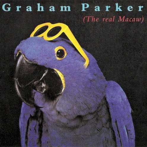 Allmusic album Review : Graham Parker must have sensed that replacing a backing band as solid as the Rumour wasnt going to be easy after he parted ways with the group, and the session heavyweights assembled for Another Grey Area either couldnt or wouldnt summon up the passion and soul Parkers music demanded -- and the mushy-sounding production didnt help, either. The Real Macaw, while hardly perfect, is a significant improvement; the musicians, who include former Rumour guitarist Brinsley Schwarz and Squeeze drummer Gilson Lavis, sound tight and snappy throughout, and if the album rarely rocks as hard as you might hope for from Parker, the accelerated tempos of "Just Like a Man" and "Last Couple on the Dance Floor" indicate the band could kick it out when the situation demanded, and the quieter songs still display a potent if low-key energy. While David Kershenbaums production is a bit too stereotypically mid-80s for its own good in spots (especially the periodic use of the Linn drum and those regrettably dated keyboard patches), it packs plenty of presence and gives the songs a bright, listenable surface that serves them well. And Parker has a batch of gems this time out; in the wake of his recent marriage, relationships have apparently been on his mind, and he has plenty to say about the ups, downs, and plain hard work that goes into being in love, ranging from the rueful "Cant Take Love for Granted" and the bitterly self-chastising "Just Like a Man" to "Life Gets Better," one of the most openly optimistic tunes hes ever allowed himself to write. After the disappointments of his final album with the Rumour and his first solo album, there was certainly room to wonder if hed become a spent force, but The Real Macaw makes it clear Parkers muse is still on duty and working hard to put him back on track.