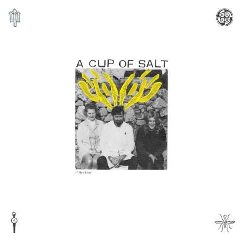 a_cup_of_salt