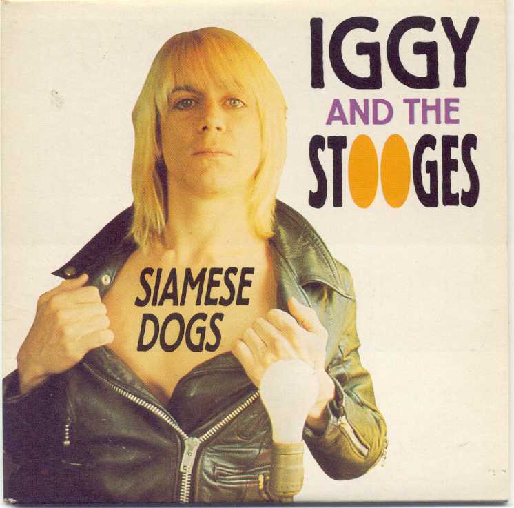 siamese_dogs