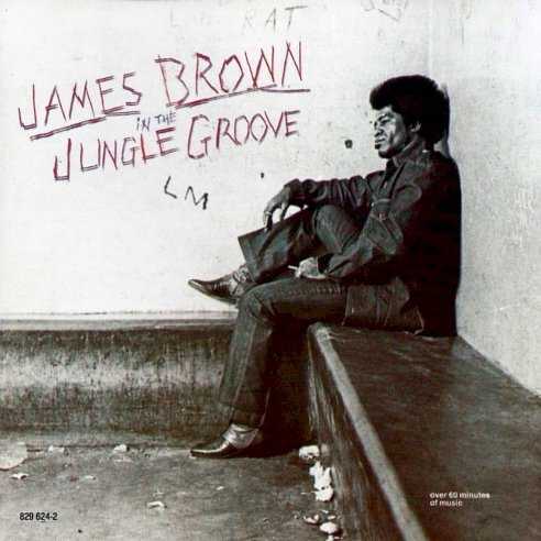 in_the_jungle_groove