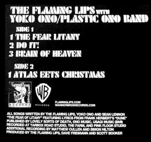 the_flaming_lips_with_yoko_ono_plastic_ono_band