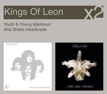 x2_youth_young_manhood_aha_shake_heartbreak