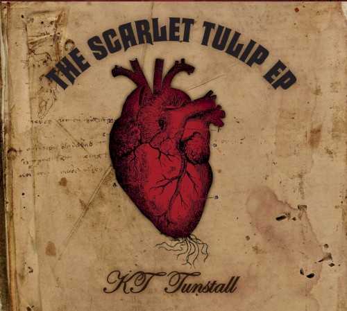 the_scarlet_tulip