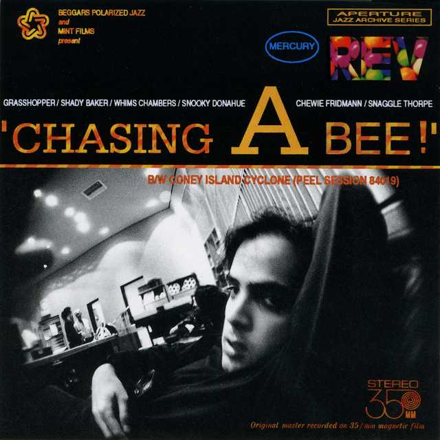 chasing_a_bee