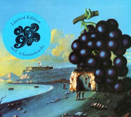 Allmusic album Review : Between the time that Moby Grape released their brilliant self-titled debut and when their second album Wow appeared in 1968, a little thing called Sgt. Peppers Lonely Hearts Club Band happened, and for the next few years it was no longer enough for a band with some claim to importance to just play rock & roll, even if they approached it with the freshness and imagination Moby Grape displayed on their first LP. Bowing to the pervading influences of the day, Wow is a far more ambitious album than Moby Grape, trading in the latters energetic simplicity for an expansive production complete with strings, horns, and lots of willful eccentricity, best typified by the helium-treated vocals on the hillbilly pastiche "Funky Tunk" and "Just Like Gene Autry: A Foxtrot," a woozy 60s dance band number complete with introduction from Arthur Godfrey (the band went so far as to master the tune at 78 rpm on the original vinyl edition). While at first glance Wow pales in comparison to the instant classic Moby Grape, repeated listening reveals this album has plenty of strengths despite the excess gingerbread; the horn-driven boogie of "Cant Be So Bad" swings hard, "Murder in My Heart for the Judge" is a tough and funky blues number, "He," "Rose Colored Eyes," and "Bitter Wind" are lovely folk-rock tunes with shimmering harmonies (even if the latter is marred by a pretentious noise collage at the close), and "Motorcycle Irene" is a witty tribute to a hard-livin biker mama. Wow lacks the rev-it-up spirit of Moby Grapes masterpiece, but Peter Lewis, Jerry Miller, and Skip Spences guitar work is just as impressive and richly layered, and the groups harmonies and songwriting chops are still in solid shape. While the unobtrusive production on Moby Grape showcased the groups many virtues, those attributes are visible on Wow despite the layers of studio excess, which sapped the momentum and charm of this band without snuffing them out altogether.