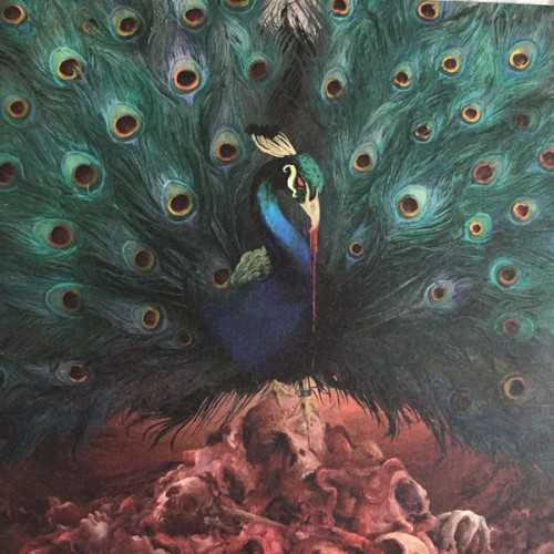 Allmusic album Review : When Opeth released Heritage in 2011, they had completed the transformation from their death metal origins through progressive death metal in the early 2000s, to full-on prog rock that celebrated their love of Camel, Jethro Tull, ELP, and more. 2014s excellent Pale Communion furthered those notions as frontman and songwriter Mikael Åkerfeldts own vision began to emerge. Sorceress is the third installment in this phase of the bands career, and while considerably different and more exploratory than its precursors, it also references Opeths earlier efforts like Ghost Reveries and Blackwater Park, but goes further than either in its diversity.<br><br> Uncharacteristically, Åkerfeldt wrote the album quickly. He enlisted Tom Dalgety as co-producer (who also engineered and mixed) and Opeth recorded it in twelve days at Rockfield Studios in Wales. Sorceress is a madly assorted mixed bag. Åkerfeldts inspirations this time out may still recall prog sources, but there are heavier ones, too: Black Sabbath and the Ritchie Blackmore/Jon Lord-era of Deep Purple. Opener "Persephone" has a brief nylon-string guitar sketch in waltz time that could have come from folk music antiquity. It gives way to the title track and first single. Joakim Svalbergs knotty organ riff dominates the opening moment before a crushing syncopated guitar riff joins in. This track somewhat recalls the Pale Communion sessions but is far more unhinged. The Geezer Butler-esque bassline and explosive kick drums make it the most accessible thing here -- its instrumental section keeps it firmly in prog terrain, however. "The Wilde Flowers" is a truly wild melange of musical styles. Its simultaneously heavy, hard, and spacy, with B-3, bluesy and squalling metal guitar breaks, and chorale vocals that drift in the center, weighting it as a solidly prog track. The bludgeoning guitar riff, up-mixed, swinging drums, and punishing bassline in "Chrysalis" make it a highlight; it shines with Åkerfeldts finest vocal performance on the album (he can be notoriously lazy). There are lovely acoustic tracks here, too, such as "Will O the Wisp," which exists in the space between Pentangles Basket of Light and Led Zeppelin III. "The Seventh Sojourn" melds East Indian drone with North African modalism and exotic hand percussion; strings and keyboards eclipse an oud-like guitar line. It eventually dissembles, wedding near classical polyphony to subdued pop. "Strange Brew" winds through Peter Gabriel-era Genesis-esque ponderousness before a bluesy guitar line ushers it into thundering King Crimson-esque prog adorned with proto-metal riffs and vamps. "A Fleeting Glance" is a dynamic, multifaceted jam showcasing Åkerfeldts sophisticated melodic sensibilities while touching on musical terrain from Pink Floyd and Gentle Giant to post-Village Green-era Kinks! "Era" opens with a delicate piano intro but Opeth erupts a minute later in melodic aggression. Åkerfeldts more confident and individualized songwriting on Sorceress takes it in some dizzying directions. While it goes further musically than their two previous outings, it contains enough of the past to exist in a space that carves out terrain somewhere between Watershed and Heritage. Brilliant. sorceress