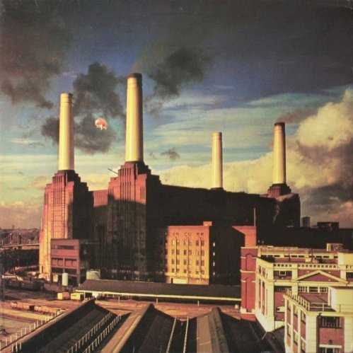 Allmusic album Review : Of all of the classic-era Pink Floyd albums, Animals is the strangest and darkest, a record thats hard to initially embrace yet winds up yielding as many rewards as its equally nihilistic successor, The Wall. It isnt that Roger Waters dismisses the human race as either pigs, dogs, or sheep, its that hes constructed an album whose music is as bleak and bitter as that world view. Arriving after the warm-spirited (albeit melancholy) Wish You Were Here, the shift in tone comes as a bit of a surprise, and there are even less proper songs here than on either Wish or Dark Side. Animals is all extended pieces, yet it never drifts -- it slowly, ominously works its way toward its destination. For an album that so clearly is Waters, David Gilmours guitar dominates thoroughly, with Richard Wrights keyboards rarely rising above a mood-setting background (such as on the intro to "Sheep"). This gives the music, on occasion, immediacy and actually heightens the dark mood by giving it muscle. It also makes Animals as accessible as it possibly could be, since it surges with bold blues-rock guitar lines and hypnotic space rock textures. Through it all, though, the utter blackness of Waters spirit holds true, and since there are no vocal hooks or melodies, everything rests on the mood, the near-nihilistic lyrics, and Gilmours guitar. These are the kinds of things that satisfy cultists, and it will reward their attention -- theres just no way in for casual listeners.