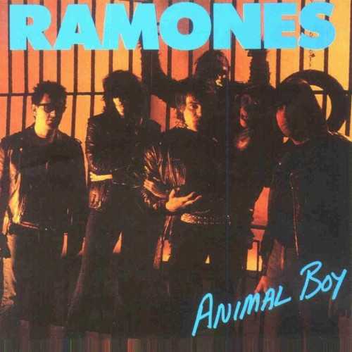 Allmusic album Review : Animal Boy wasnt a very happy record for the Ramones. Since the release of Too Tough to Die (a slight return to form) nearly two years earlier, the bands fortunes had gone from bad to worse; interest in the band kept dwindling with every release and the "bruthas" were constantly at each others throat. But their desperation only became apparent when they started seriously altering their sound in search of a lucky break. With Animal Boy, producer Jean Beauvoir (of Plasmatics infamy) attempted to update the bands sound with the commercial conventions of the day, meaning keyboards and synthesizers. Opener "Somebody Put Something in My Drink," for instance, wastes an aggressive vocal performance from Joey Ramone by supporting it with a shamelessly polished synthesizer backing track. The balls-out title song momentarily simplifies things once again, but the album continues to progress in hit-and-miss fashion, culminating with the unbearably soft "Something to Believe In" -- with bright synths taking over completely and no guitar in sight, it is a career low. Of note, the album does contain one of the bands most clearly political statements in first single "Bonzo Goes to Bitburg," written about President Ronald Reagans ill-advised visit to Germanys Bitburg cemetery, the site of many Nazi graves. Interestingly, the song was later retitled "My Brain Is Hanging Upside Down" prior to the albums release, after vehement protests from guitarist Johnny Ramone, a fervid conservative. One of many mid-80s blunders, Animal Boy is best left forgotten from the Ramones otherwise remarkable late-70s legacy.