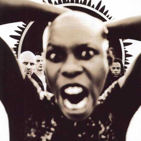 Allmusic album Review : The second offering from aggro-political rockers Skunk Anansie finds producer Garth Richardson (L7, Rage Against the Machine) at the helm. Frontwoman Skins vocals grab the listener by the scruff of the neck and demand attention. The rest of the band backs her with a frenzied, yet focused, sonic attack, giving serious punch to tracks like the breakneck "Twisted (Everyday Hurts)" and the lumbering, scathing "We Love Your Apathy." Stoosh finds Skunk Anansie still raging for political activism (albeit sometimes through muddy lyrics), and the band makes no bones about that fact (addressed succinctly on "Yes Its F*****g Political." Skin proves herself capable of more personal issues as well on the subtle, moody "Infidelity (Only You)" and the lighter (musically) pop/rocker "Glorious Pop Song." Skunk Anansies full-frontal charge can be wearing at times, but for a good dose of aggressive, hard rock with better-than-average lyrics, Stoosh succeeds more than it fails.