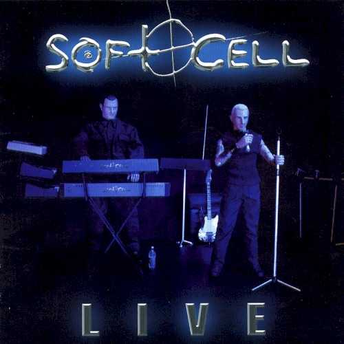 soft_cell_live