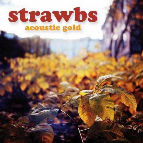 Allmusic album Review : Although this 14-song collection features Strawbs recordings done with acoustic arrangements, its not an album made specifically with writing and recording (or re-recording) acoustic material in mind. Its an anthology of acoustic recordings, all but two done between 2001 and 2011, and just three of which were previously unreleased (though a couple of others had only been available on DVD). As a source of possible confusion, some of these are early 21st century re-recordings of songs that had first been recorded or issued decades earlier, such as "Josephine, For Better or Worse" and "The Man Who Called Himself Jesus." Two previously unreleased bonus tracks, dubbed "Heritage Gold" on the back cover, were recorded in 1979 and 1980 with just Dave Cousins on guitar and vocals and Brian Willoughby on guitar. Despite the rather patchy assemblage around the acoustic concept, it does hang together pretty well as a portrait of the Strawbs lower-key side. The arrangements arent overdone or self-conscious, and combined with the moody-to-the-point-of-somber folk-rock songwriting (mostly by Cousins), a consistently reflective mood is created in tasteful settings. A couple of contributors of note are Rick Wakeman (on "A Glimpse of Heaven") and Robert Kirby (who did the string arrangement for "Evergreen").