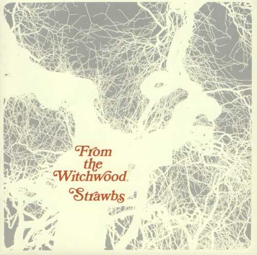 Allmusic album Review : This album was originally the weak link in the transition of the Strawbs from an acoustic folk-rock outfit to a progressive folk band, being neither fish nor fowl and suffering from an anemic mix. The 1998 British reissue (A&M; 540-939-2), however, solves some inherent problems that plagued both the original vinyl edition and the first CD reissues. The new remastering toughens up the bass sound, and brings out more of the sheer power of Rick Wakemans organ and synthesizer playing, accenting the harder side of the groups sound that was obviously there in the studio but lacking in the analog mix. "A Glimpse of Heaven" and "The Hangman and the Papist," in particular, benefit from the remastering, and "Sheep" finally has the musical fury to match its lyrics. Dave Cousins voice also comes off as really close, and the effect is to make this a much more potent album than it previously seemed. Overall, its now far easier to visualize this recording as the step leading to full-blown progressive rock releases such as Grave New World, which followed. The disc includes one bonus track, John Fords "Keep the Devil Outside," which has an acoustic opening and a hard rock break and finale, which was cut at these same sessions, and which turned up months later as the B-side of "Benedictus," a single drawn from the next album.