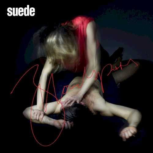 Allmusic album Review : Suede didnt so much disband as unravel. Racked by too many indulgences and addictions, the group faded away in the early years of the new millennium, leaving behind a somewhat tarnished conclusion to what was a glorious career. Brett Anderson slowly got himself back on track, first reuniting with original Suede guitarist Bernard Butler for the rather excellent one-shot band the Tears, then carving out a contemplative solo identity where much of the squalor, sex, and grime of Suede was stripped away, leaving behind contemplative pop and broken-hearted ruminations. Eventually, as it came time to repackage and reissue the Brit-pop glory years and the prospect of high-dollar live reunions lurked, there seemed to be one logical next move: to reunite Suede as a going concern. After all, Anderson had quietly honed his craft on those solo albums, but few noticed; Suede gives him the platform he deserves. He seizes that opportunity on Bloodsports, a reunion of the Coming Up lineup lacking any of that records gleeful, hedonistic trash. Instead, this incarnation of Suede favors the darkly majestic, romantic bent of the Butler era, with a major difference: theyve replaced Butlers operatic sweep by proudly sporting the scars of time. Anderson is no longer romanticizing doomed love, hes soldiering on and his fight against the dying light gives Bloodsports an air of optimism underneath its elegant melancholy. Also, it helps that he, guitarist Richard Oakes, and Neil Codling -- a keyboardist who began his stint in the band serving almost as decoration, and has now developed into a valued collaborator, contributing songwriting credits to over half the album -- have constructed an elegantly lean, quietly forceful collection of songs that emphasize how Suede play ballads as if theyre anthems and vice-versa. Where Head Music and A New Morning felt fractured and confused, Bloodsports is precise and purposeful. By excising the neon-colored glam that came to define the band in the years after Coming Up, Suede wear their middle age with style. Never once do they sound desperate on Bloodsports; they sound confident, and comfortable in the knowledge that this is where they all should be.