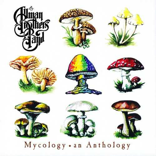 Allmusic album Review : Mycology: An Anthology collects highlights from the Allman Brothers 90s work for Epic Records. Although these latter-day recordings didnt quite reach the heights of the groups 70s heyday, they were surprisingly strong and Mycology is the best way for the curious fan to discover that. By rounding up the best moments from Seven Turns, Shades of Two Worlds, An Evening with the Allman Brothers Band and Where It All Begins, the collection offers a good distillation of an underrated portion of the groups career, thereby making it of equal interest to casual and hardcore fans alike.