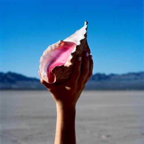 Allmusic album Review : In 2017, its hard to figure out where Brandon Flowers ends and the Killers begin. Just prior to the September release of Wonderful Wonderful -- their fifth album and first in five years -- the band announced that neither bassist Mark Stoermer nor guitarist Dave Keuning would be touring in support of the record, all the while stressing that neither musician had left the group. Listening to Wonderful Wonderful, its hard to discern their contribution because Flowers completely dominates the proceedings, to the point where this feels like a sequel not to 2012s Battle Born but to his 2015s solo album, The Desired Effect. To an extent, Flowers always has been the focus of the Killers, but at the dawn of their career they were unified in their fusion of new wave and arena rock. Ghosts of that sound flutter through Wonderful Wonderful, but they get pushed aside by disco struts, brooding celebrity name-drops, Mark Knopfler cameos, and Fleetwood Mac harmonies so uncannily real youd swear Lindsey Buckingham guested on the record. Such odd juxtapositions and untrammeled ambition have been the Killers stock in trade since at least Sams Town, but the impressive thing about Wonderful Wonderful is how the Killers are able to execute Flowers overstuffed ideas so precisely. Being able to evoke certain sounds and eras is a skill that means Wonderful Wonderful can sound diffuse, as if its racing in opposite directions simultaneously, but that grandly inflated pomp is ingratiating not in the least because the years have proven theres not a hint of irony in Flowers stadium-sized emotions. By this point, Flowers obsessions and signatures are so idiosyncratic, hes clearly the auteur behind Wonderful Wonderful just as he was with The Desired Effect, and the record charms because its ridiculousness is sincere and his sincerity is ridiculous -- two qualities that make him and his art messy and quite genuine.