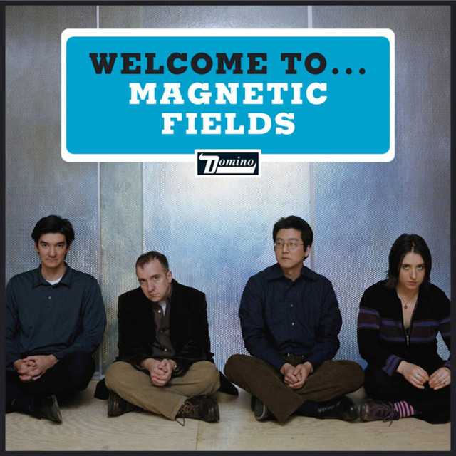 welcome_to_the_magnetic_fields