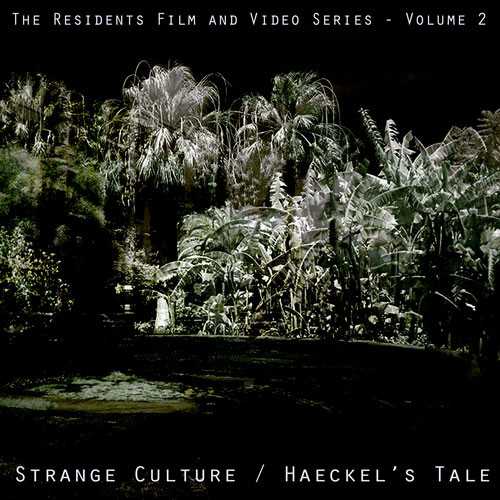 strange_culture_haeckels_tale