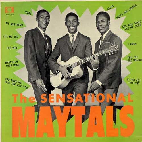 Allmusic album Review : Like so many of Jamaicas greatest groups, the Maytals launched their career at Studio One, and then like so many that found fame, the group then switched its allegiance, first making the studio rounds, before spending a spell with Prince Buster. Before 1964 was out, however, the trio had linked with Byron Lee for whom it recorded its first Jamaican chart-topper, "Its You." That hit was finally pushed off the top of the charts by the singles flip side, the soulful, doo wop ballad "Daddy." By the time the Maytals released their second single, the skanking "Fever," all of Jamaica was infected, and from there on out the hits rained down. The gospel-inflected jubilance of "Never You Change," its polar thematic opposite, the adamant "If You Act This Way," and the exuberantly goofy "My New Name" all rocketed up the Jamaican chart. The trios exhilarating gospel-flavored vocals suited any style, be it the sweet blues of "Its No Use," the jazzy brass-drenched "Whats on Your Mind," the fabulous R&B; found on "I Know," which also boasts a superb solo from guitarist Ernest Ranglin, the mento that inspires "She Will Never Let Me Down," and, of course, the many propulsive ska numbers. So strong were these singles that before 1965 had drawn to a close, an impatient Lee bundled up a batch and pressed them onto a full-length, appropriately titling the set The Sensational Maytals. The group certainly was sensational, and although many more hits were still to come, this album was the perfect portrait of the group at its ska height.