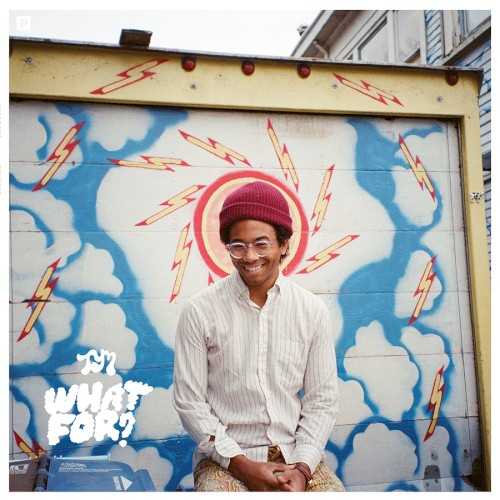 Allmusic album Review : Its not easy to pin down Toro y Moi and Chaz Bundick. Since he first started releasing music in 2009, one never quite knows what hes going to do next. From super-chilled bedroom pop to slick R&B-influenced; jams, his albums have covered a lot of ground. Everything he does is relaxed and smoothed-out at its core, though -- thats the one thing to count on. On 2015s What For?, Bundick takes another unexpected left turn. Casting aside the late-night R&B; of 2013s Anything in Return in favor of a guitar-heavy 70s approach, Bundick casts a wide net that includes bits and pieces of power pop, album rock, AM-ready soft rock, some fiery post-acid rock guitar riffing, and even a little disco. He proves to be a master of every stylistic avenue pursued here, turning in the catchiest songs hes written yet in the process. From the sparkling "Buffalo," which sounds like the best Seals & Crofts song never written, to the absolutely lovely "Run Baby Run," every song on the album sounds like it was borrowed from a K-Tel collection. Except perhaps "Yeah Right," which lasts for six slow grooving minutes and is the perfect AOR-style album closer, hair-raising guitar solo and all. What For? has Bundick taking a much more extroverted stance, with songs like the incredibly hooky "Empty Nesters" and shimmery disco confection "Spell It Out" showing more confidence and loose-limbed energy than he often does. Even the songs that have roots in the kind of chillwave he used to do, like the dream-inducing "Lilly," have his vocals higher in the mix and a less murky, more nuanced sound. Bundick must have known he was taking a risk of alienating his fans who looked to him for synth-filled music to soundtrack chilled nights and lazy mornings. Hopefully, they will be won over by the smooth grace with which he delivers his take on 70s pop and rock. No doubt anyone with a predilection for laid-back, good-time guitar rock will find lots of stuff to love here; so will people who like their pop unassuming and hooky as hell. Theres no telling what the next Toro y Moi album might sound like; all that is certain is What For? is the best one so far, with Bundick really coming into his own as a songwriter, vocalist, and producer.