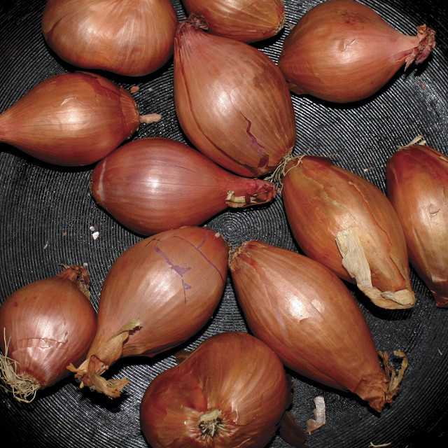 fried_shallots