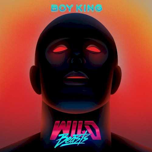 Allmusic album Review : Though Wild Beasts started streamlining their sound on 2011s brilliant Smother, theyve rarely used minimalism as purposefully -- and symbolically -- as they do on Boy King. On their fifth album, Wild Beasts lay their music and themes bare, giving them an urgency that feels like an equal and opposite reaction to Present Tenses contemplative sensuality. With the help of producer John Congleton, they craft taut, synth-driven grooves informed by hip-hop and R&B.; To their credit, they dont sound like the scores of other indie acts borrowing these sounds, although there is a resemblance to Muses 2012 hit "Madness" on "Get My Bang" and the power plays of the sly opening track "Big Cat." The only traces of the bands former exuberance can be found on Boy Kings guitar solos, which help break the musics tension in welcome and sometimes surprising ways: The doomy riff that appears out of nowhere on "He the Colossus" could have escaped from a Sunn O))) song. While the album continues Wild Beasts musical evolution, they remain true to the motifs of sex and power theyve explored since their early days. They can still make almost any phrase into a double entendre: When Hayden Thorpe sings "Ill be right behind you" on "Alpha Female," it reaffirms the layers that have always been in the bands music. However, sometimes their words are more obvious than before, perhaps to fit the simpler music. On "Tough Guy," the band peels off masculinitys mask, but its hard not to feel like they might have done so with more depth previously. Boy Kings hard-hitting themes border on repetitive, but Wild Beasts add some twists to their template on the albums second half. Tom Fleming contributes two of the brightest highlights: On "Ponytail," when he croons "I want you to trust me" over oily synths, its clear thats the last thing anyone should do; "2BU" is yearning and threatening at the same time, touching on the spine-tingling beauty and complexity of Wild Beasts at their best. Similarly, "Celestial Creatures" lives up to its name as it captures some of the divine and returns the sensuality to the bands music, while the lone ballad "Dreamliner" is a reminder of their vulnerability. Boy King may be some of Wild Beasts most consistent and accessible music, but at a price: It comes dangerously close to predictable, something the band never would have been called before.